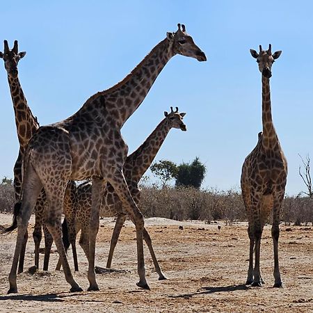 Xhabe Safari Lodge Chobe Muchenje Kültér fotó