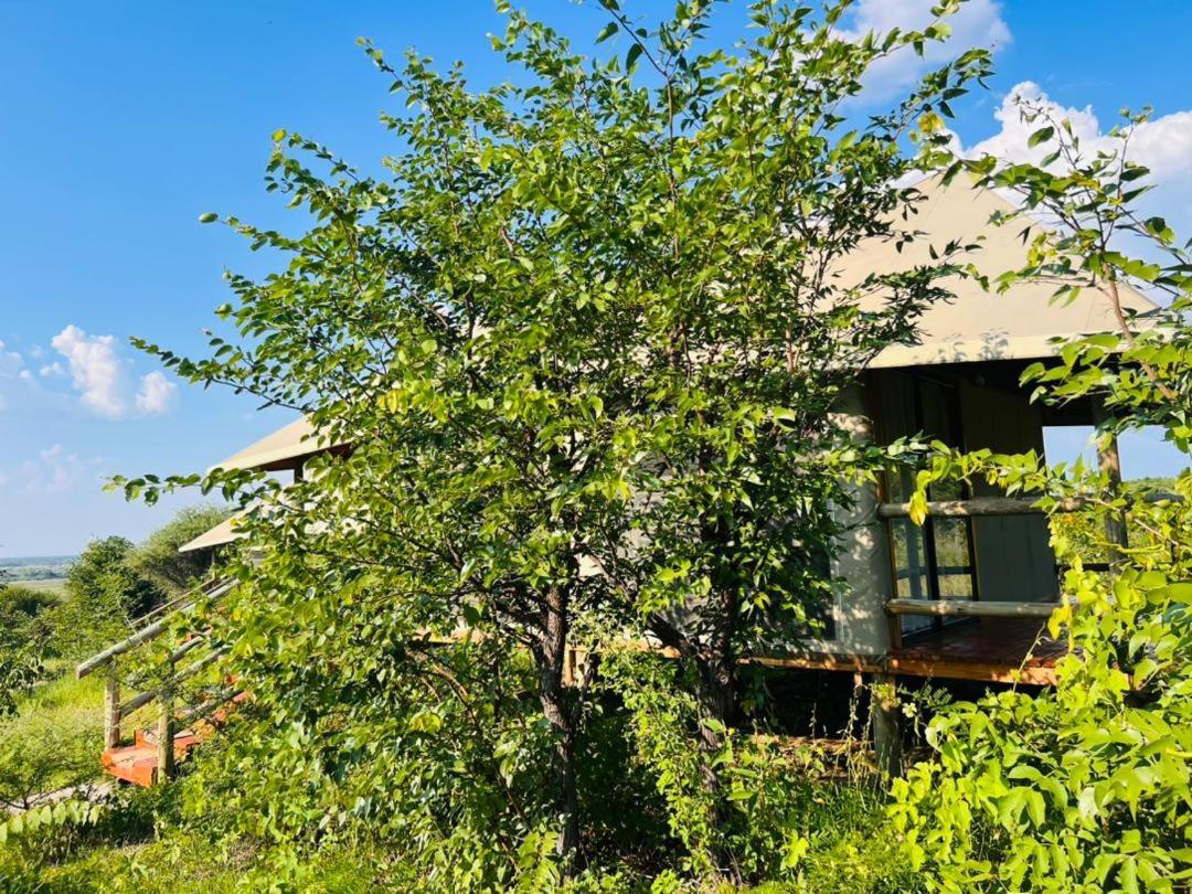 Xhabe Safari Lodge Chobe Muchenje Kültér fotó