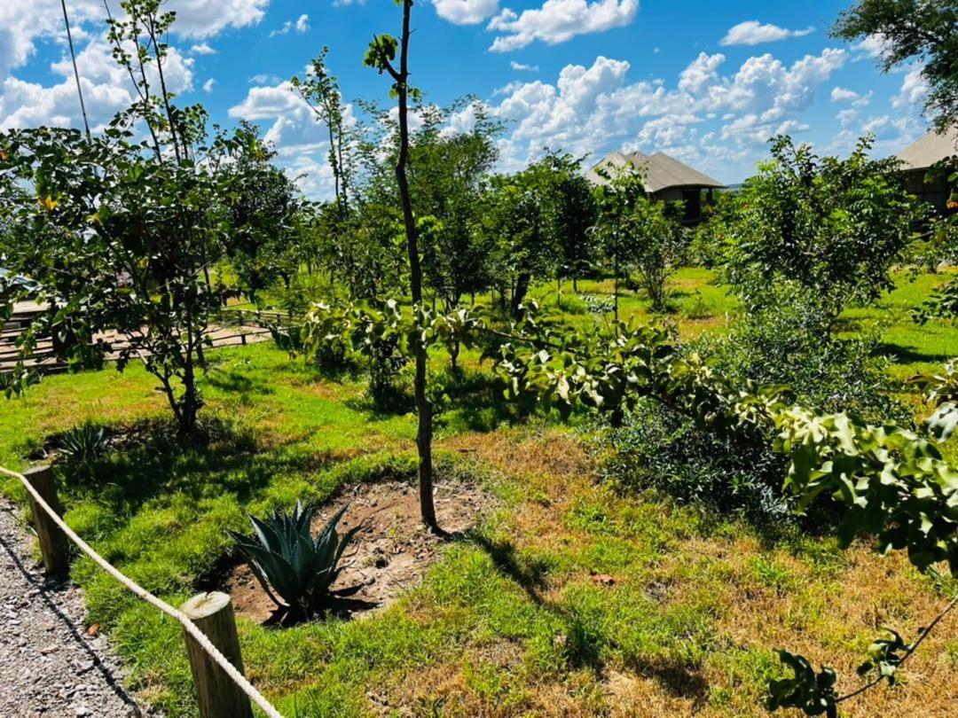 Xhabe Safari Lodge Chobe Muchenje Kültér fotó